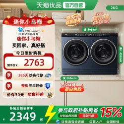 小天鹅 迷你小乌梅系列 TNDD20-08AIDE 冷凝洗烘一体内衣洗衣机