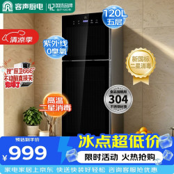 容声消毒柜立式家用大容量消毒碗柜小型双门高温紫外线碗筷消毒178-K5