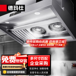 德玛仕 油烟净化一体机商用强力大吸力抽油烟机低空直排过环保检测节能