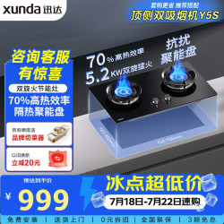 迅达 燃气灶天然气灶家用双灶具嵌入式台式两用 5.2KW旋流猛火灶70%热效率 D1-天然气