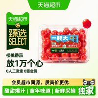 移动端、88VIP：一颗大 樱桃番茄 一级果 甄选礼盒
