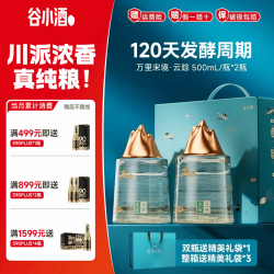 谷小酒 万里宋境·江源 52%vol 浓香型白酒 500ml*2瓶 礼盒装