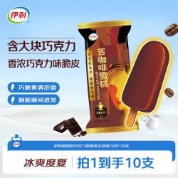 伊利 经典童年怀旧 雪糕  0.7kg