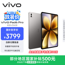 vivo Pad6 Pro 13.2英寸 平板电脑（第五代骁龙8 至尊版、8GB、256GB、WiFi版、自在灰）