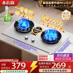 志高 天燃气灶具煤气灶双灶台5.2kw猛火家用不锈钢罐装液化气双炉台嵌两用厨房免开孔翻盖