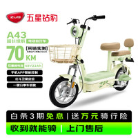 五星钻豹 长续航 电动自行车
