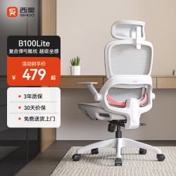 西昊 B100Lite 人体工学椅 B100Lite灰 无脚踏 弹弓骶枕