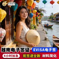 越南·一个月单次入境·移民局网站·越南电子签证30天90天旅行旅游电子签证越南evisa可多次越南旅行签证