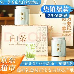 宋一 茶叶礼盒安吉白茶绿茶特级2026新茶春茶200g装高档