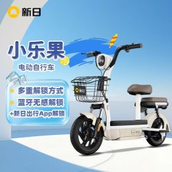 新日 小乐果 电动自行车 48V20AH
