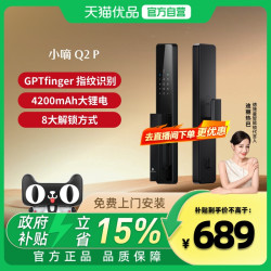 德施曼 全自动智能指纹锁Q2P