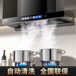 新飞 家用顶吸式大吸力免拆洗自动清洗欧式吸油烟机大功率抽油烟机
