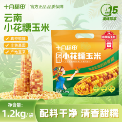 十月稻田 云南小花糯玉米 1.2kg