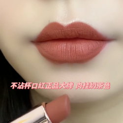 溥畔 素颜百搭口红黄皮肤不掉色不沾杯不脱色肉桂色口红哑光显白保湿女