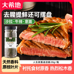 大希地 迷迭香 20g 香料 食用干料 牛排腌制 牛肉鸡肉 西餐调料 烘焙干草