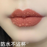 肉桂色口红30到40岁不掉色不脱色口红黄皮显白持久防水保湿哑光女