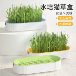 猫草无土水培猫草盆栽天然化毛健康零食懒人清洁口腔幼猫猫草种子