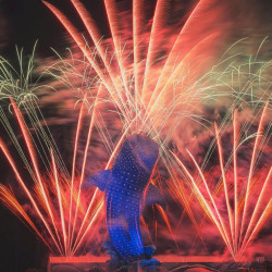 美团珠海长隆海洋王国 家庭票 2大1小 1日票 