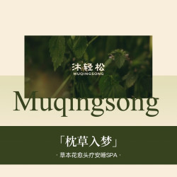 枕草入梦｜草本花愈·安睡头疗spa