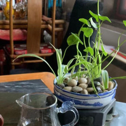 快乐时光品茶套餐