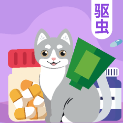 猫咪·博来恩驱虫1次丨到店服务