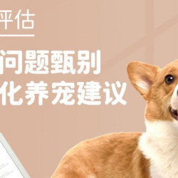 调良宠物 1V1行为评估（针对行为问题）