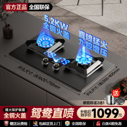 华蒂干 丨[70%热效率]天然气燃气灶煤气灶双灶直喷火定】左文火+右直喷九腔猛火+定时 液化气