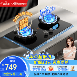 万和（Vanward）240分钟超长双定时家用嵌入式燃气灶