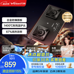 万和（Vanward）家用燃气灶双灶5.2kW家用猛火嵌入