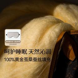 蚕花娘娘 夏凉空调被珍稀高品质100%桑蚕丝被子被芯