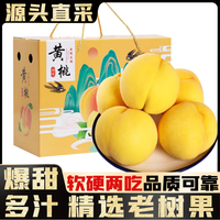 三萌果蔬 正宗蒙阴黄桃 山东当季新鲜现摘黄毛桃桃子水果节日送礼 5斤精美礼盒 单果125g+ 净重4.5斤