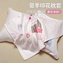 红豆家纺 夏季冰丝枕套48x74cm一对装成人儿童空调房枕头套可机洗