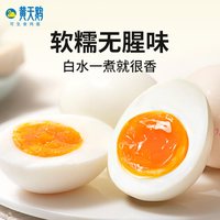 黄天鹅 可生食新鲜鸡蛋