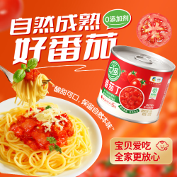 屯河 中粮屯河番茄丁200g*12罐 0脂肪无添加去皮西红柿烹饪调味料