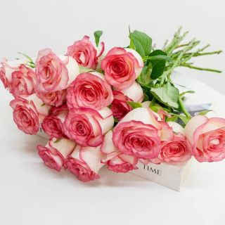 京东鲜花 玫瑰 随机颜色 共30支