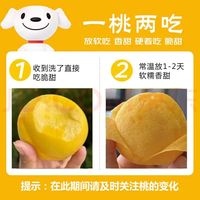 京鲜生 山东蒙阴锦绣黄毛桃净重 4.5斤 单果 140g起 生鲜水果 源头直发