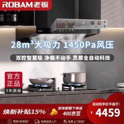 老板（Robam）E1油烟机28风量AI全自动内腔免拆洗纳米抗污欧式顶吸灵犀