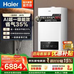 海尔 变频一级能效冷凝燃气壁挂炉天然气采暖炉热水器板换式地暖暖气片恒温