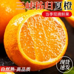楚川 湖北秭归伦晚橙 3斤 果径60-65mm