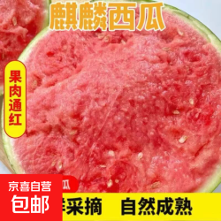京东 新鲜采摘麒麟西瓜当季新鲜薄皮多汁8424西瓜京东包邮 净重5-7斤装