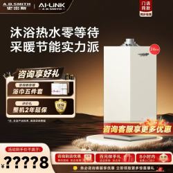 A.O.SMITH 燃气壁挂炉LL1GBQ-E11 家用采暖热水天然气壁挂炉 零冷水型一级能效冷凝炉