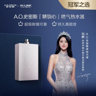 A.O.SMITH JSQ31-CJSWi 零冷水 16L 天然气热水器