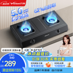 万和 家用大火力燃气灶台式双灶天然气液化气灶具免开孔台灶 液化气