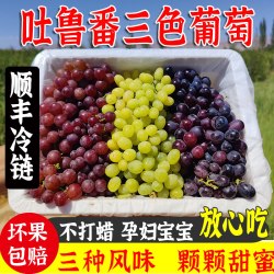 心疆农哥 新疆吐鲁番无籽提葡萄 4斤