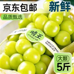 寻天果蔬 云南阳光玫瑰青提 1斤 小果