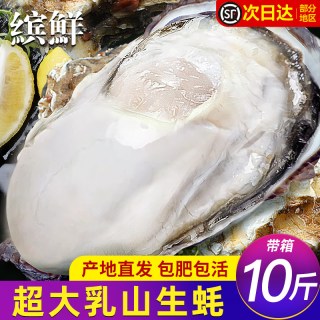 移动端：缤鲜 乳山生蚝 鲜活特大 贝类