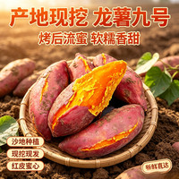 黄心粉糯板栗红薯 净重9斤