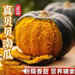 无品牌 河南 贝贝南瓜 2500g