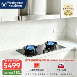 西屋电气 西屋烟灶联动不锈钢套装28m³大吸力1500pa静压顶吸70%热效率定时燃气灶TA06+DS10