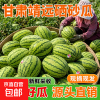 京喜 A2甘肃靖远硒砂瓜石头瓜新鲜采摘产地直发沙瓤甘甜多汁大西瓜整箱 现摘硒砂瓜一个瓜净重 16-20斤